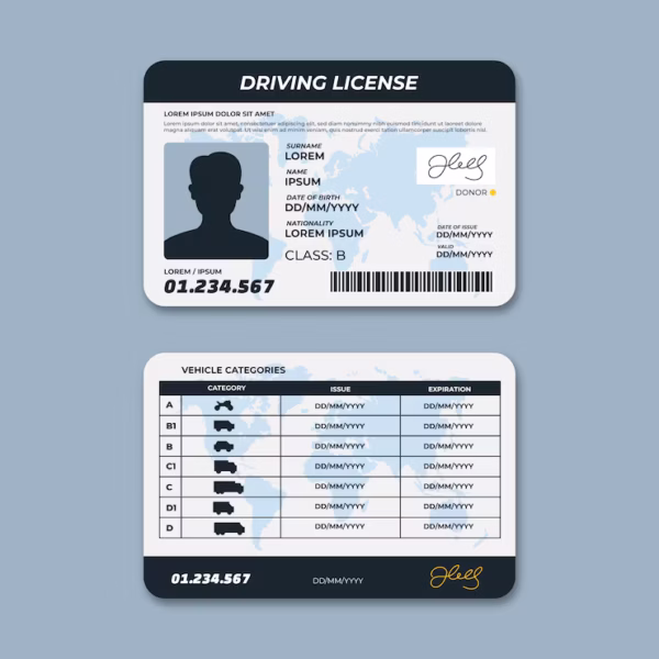 hand-drawn-driving-license